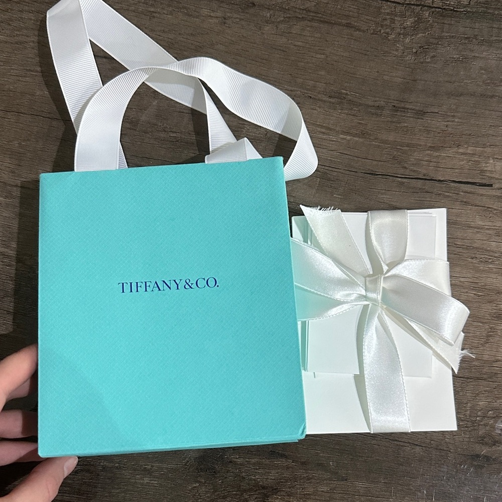 Tiffany & Co. Turquoise Bag with White Ribbon